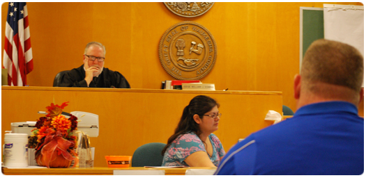 Judge William J. Domina, who presides over the Waukesha County's Alcohol Treatment Court, will also preside over the county's new drug treatment court.