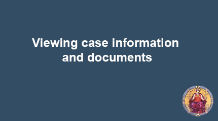 Viewing case information and documents