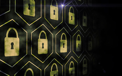 Safety and Security Spotlight