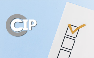 New Survey on Parents’ Experiences with CHIPS Court Cases