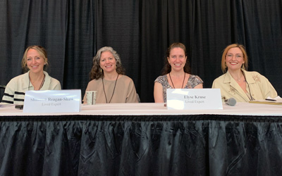 Child Welfare Law Orientation