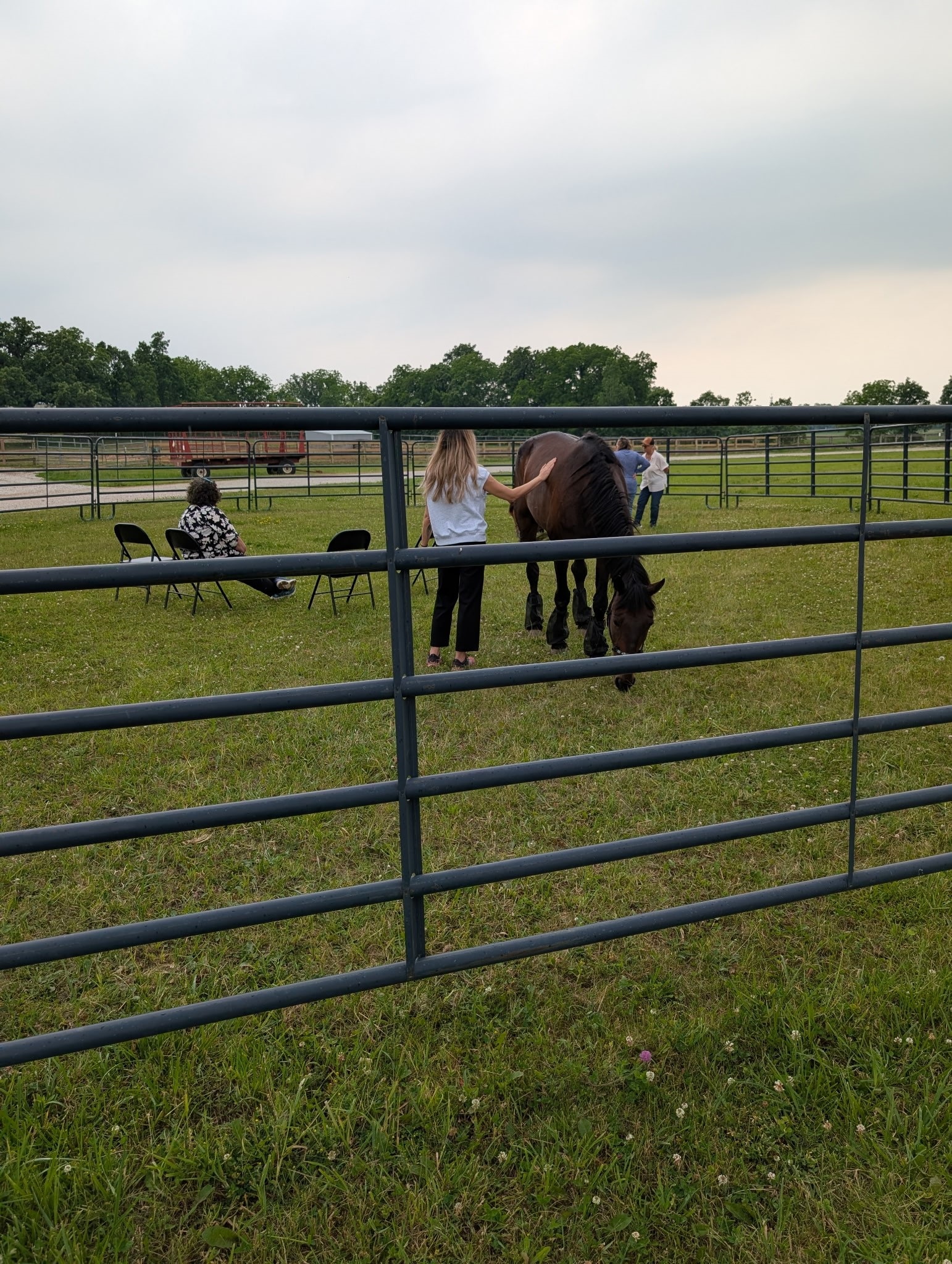 Judge Wynne Laufenberg and members of the Second Judicial District Veterans Treatment Court team visit Veterans Equine Alliance in western Racine County 