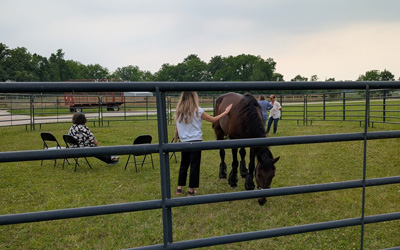 Veterans Equine Alliance