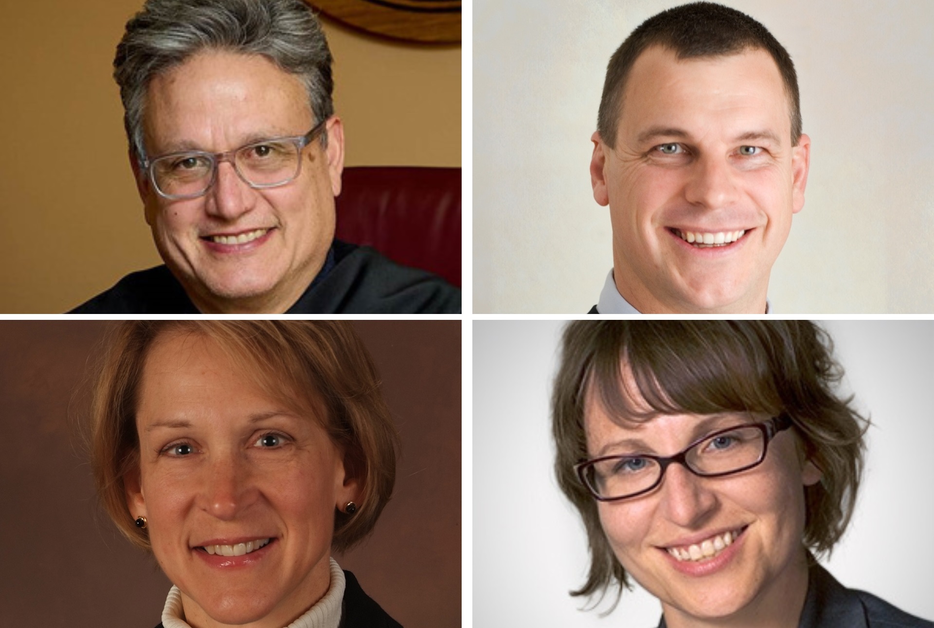 Hon. Pedro Colon, Hon. Mark Gundrum, Hon. Lisa Stark, and Hon. Rachel Graham